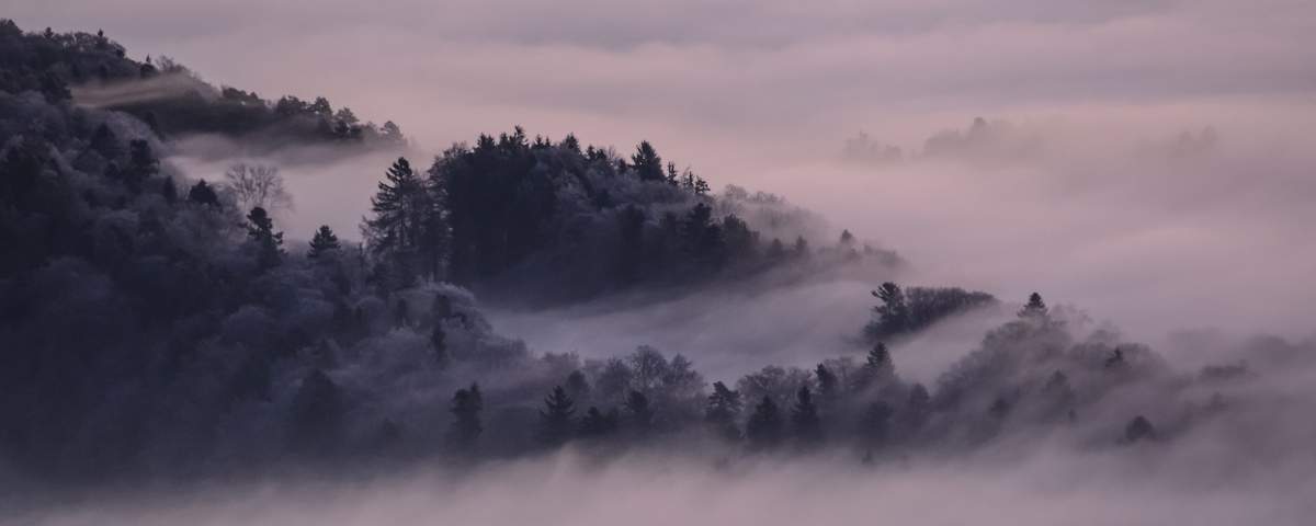 Fog Winter Neuchatel