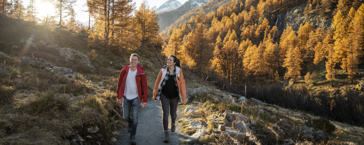 two people walking trough a beautiful forest in autumn