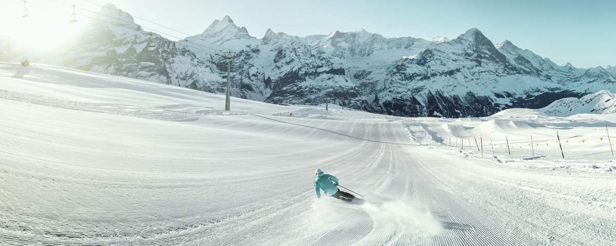 Grindelwald Hero Ski-Flex