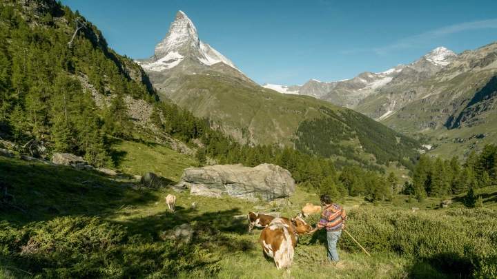 Wanderweg mit Aussicht aufs Matterhorn