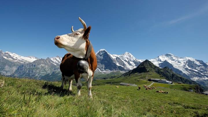 Beautiful landscapes in the Jungfrau Region