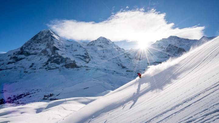 Grindelwald Flex-Ski Slider 1 Ski 