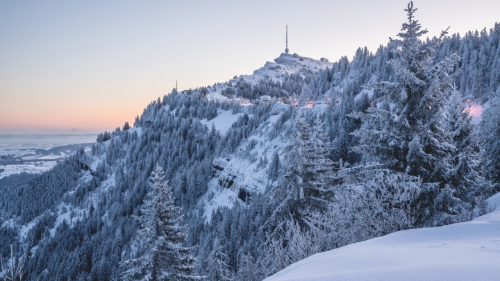 Rigi Staffelhoehe Winter morning