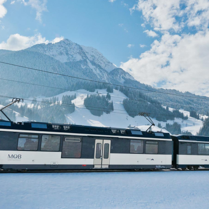 GoldenPass Panoramic Winter