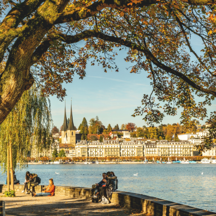 Lucerne Inseli Park Autumn