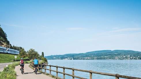 Fahrradfahren am Bodensee in Konstanz