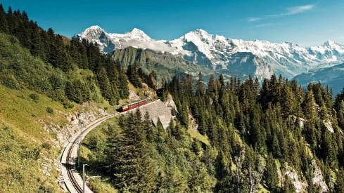 Fahrt mit der Zahnradbahn zur Schynige Platte in der Jungfrauregion