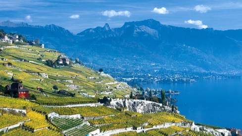 Blick über die Lavaux Weinterrassen und den Genfersee