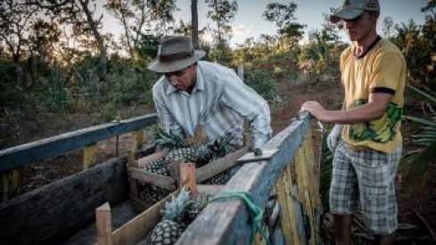 Bauernfamilien ländliche Entwicklung Landwirtschaft Brasilien Südamerika HEKS