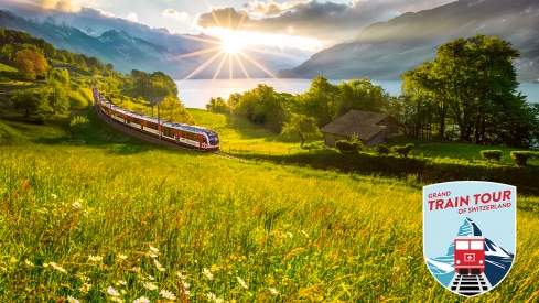 train crusing through a beautiful landscape in summer
