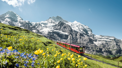 Jungfraujoch train Spring