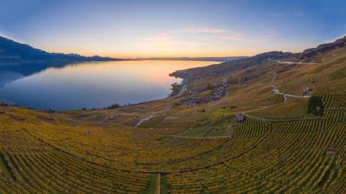 Lavaux wine region_ Sommer 