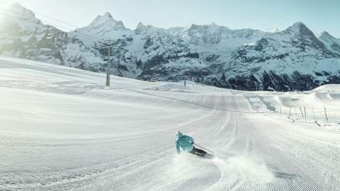 Grindelwald Hero Ski-Flex