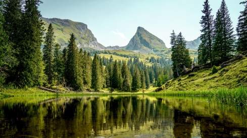 Beautiful lake, trees and mountains on Alp Sellamatt
