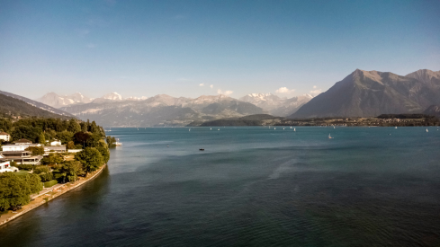 Lake Thun Summer