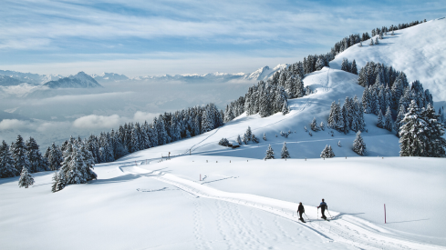 Rigi snowshoeing