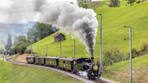 Brunig Steam Railway