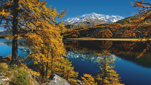 Lake Silvaplana Autumn