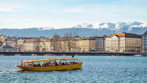 Geneva Winter Mouettes