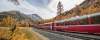Bernina Express im Herbst